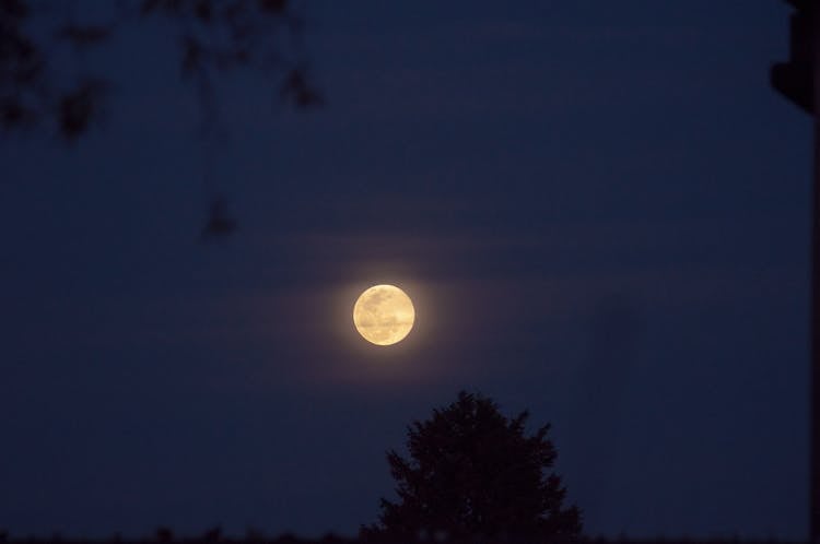 Full Moon At Night