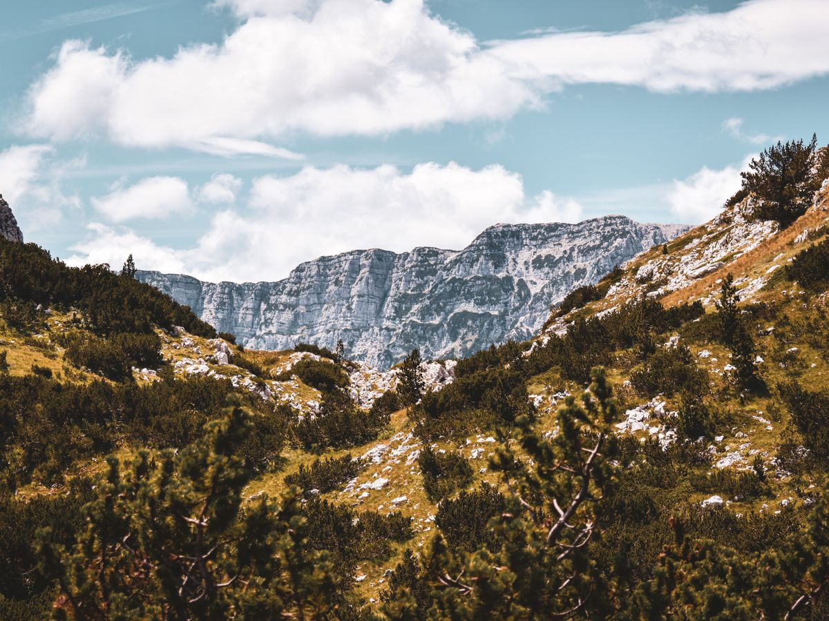 8 Day 'Look Within" Hatha Yoga & Meditation Retreat in Bosnia 1