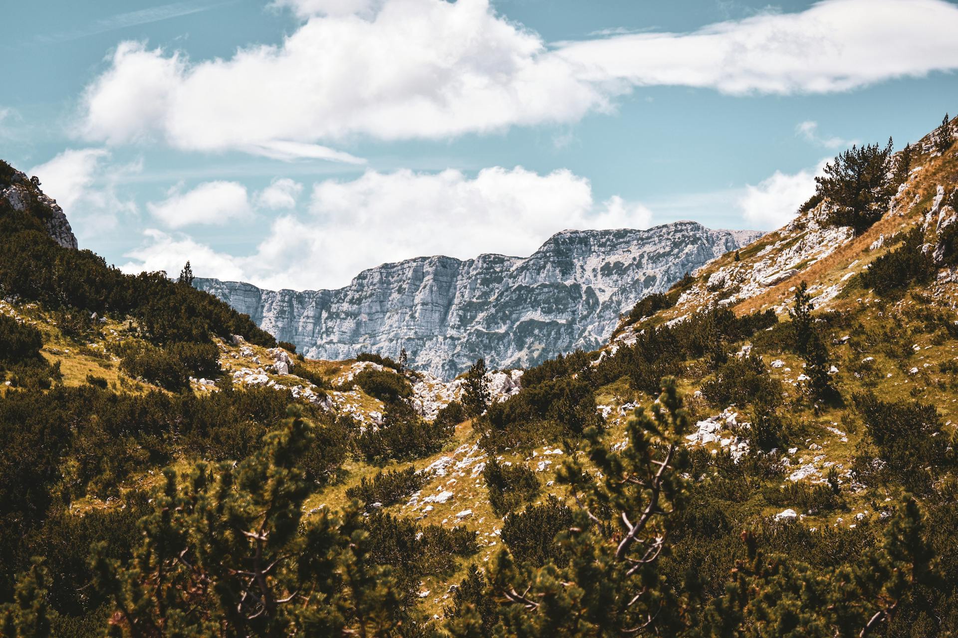 Majestic mountains and lush valleys under a clear sky in Bosnia and Herzegovina.