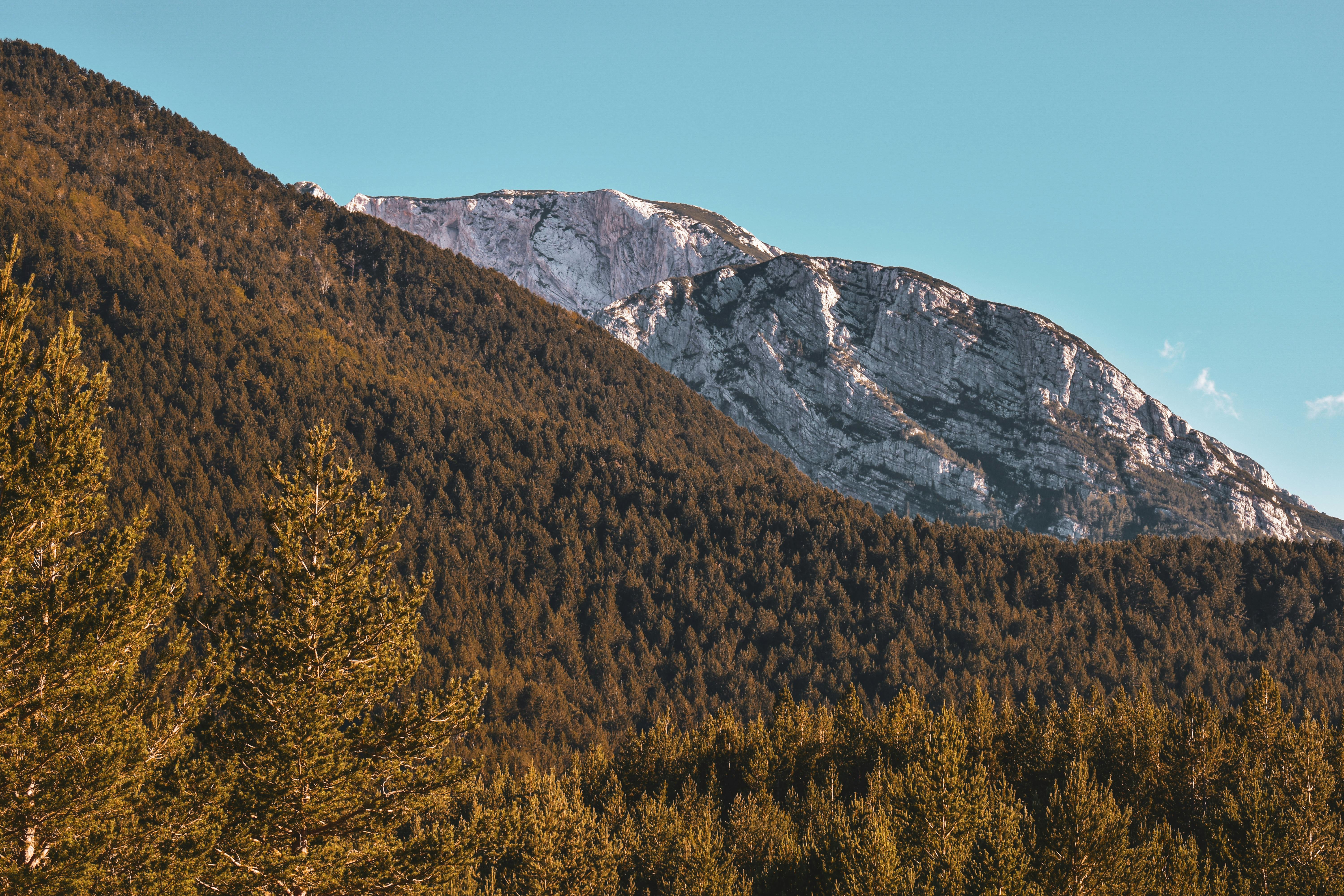 What rock is good for prosperity?