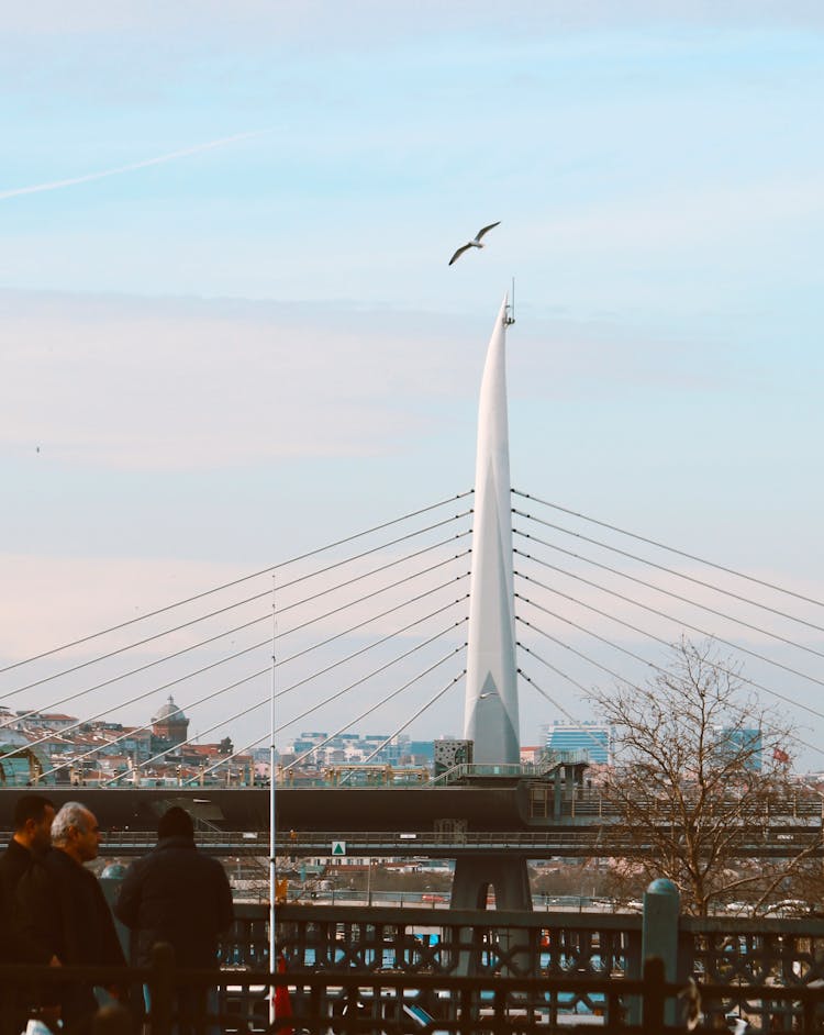 Golden Horn Bridge