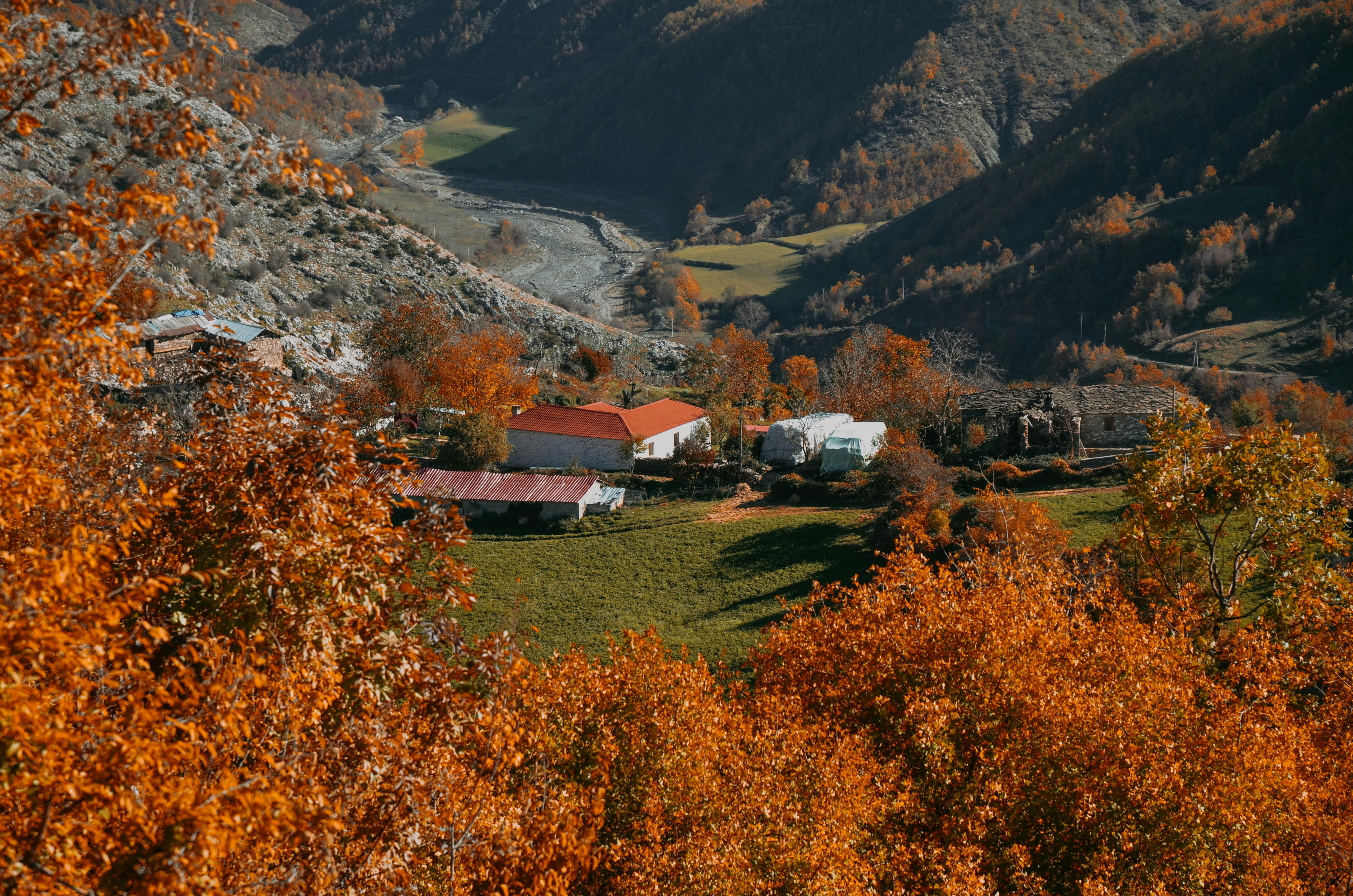 What color means strength?