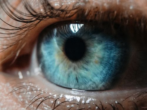 Free Macro close-up of a human eye showcasing blue iris and detailed eyelashes. Stock Photo