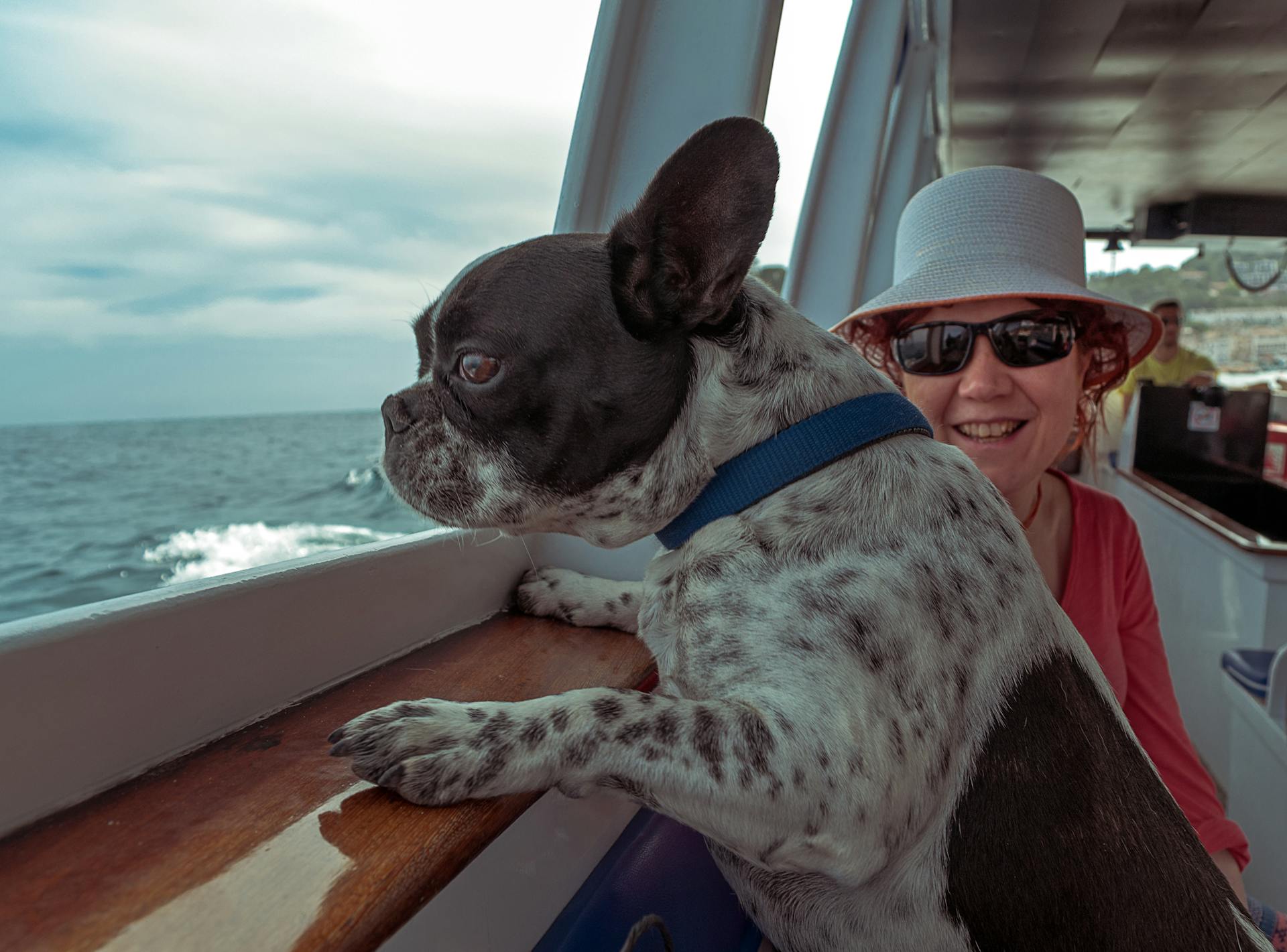 Photograph of a French Bulldog Near a Woman