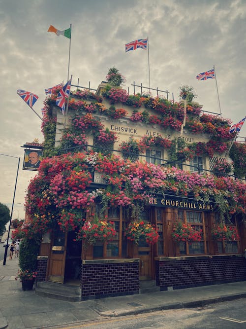 Kostnadsfri bild av blomsterpub, brittiska flaggor, churchills armar