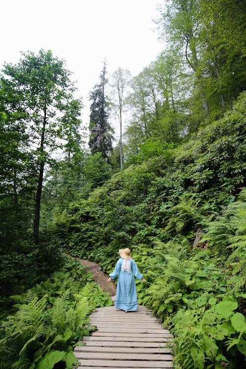 Woman in Blue Dress Walking on Wooden Pathway Surrounded by Green Trees