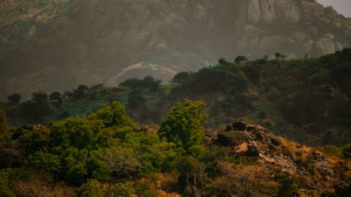 Free A picturesque view of a lush mountain landscape in Aralvaimozhi, India. Stock Photo