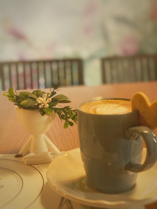 免费 卡布奇諾, 原本, 咖啡 的 免费素材图片 素材图片