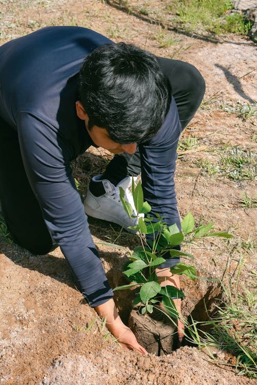 Free Young man planting a tree Stock Photo