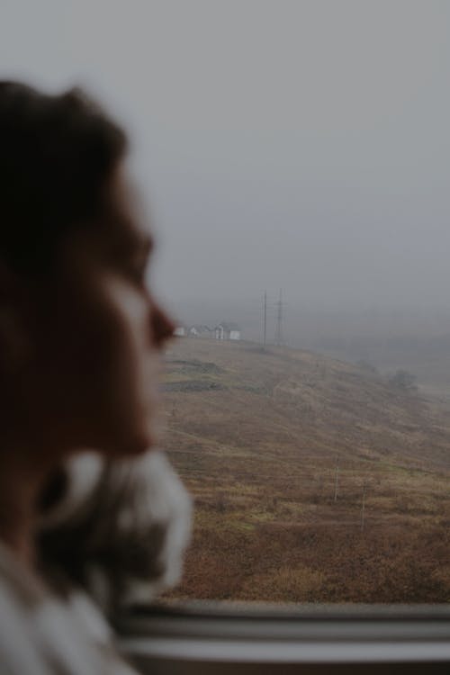 Person by the Window Looking at a Foggy Grass Field