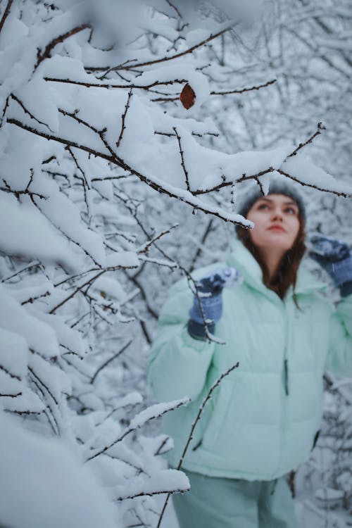 Foto profissional grátis de árvores, casaco de inverno, chão