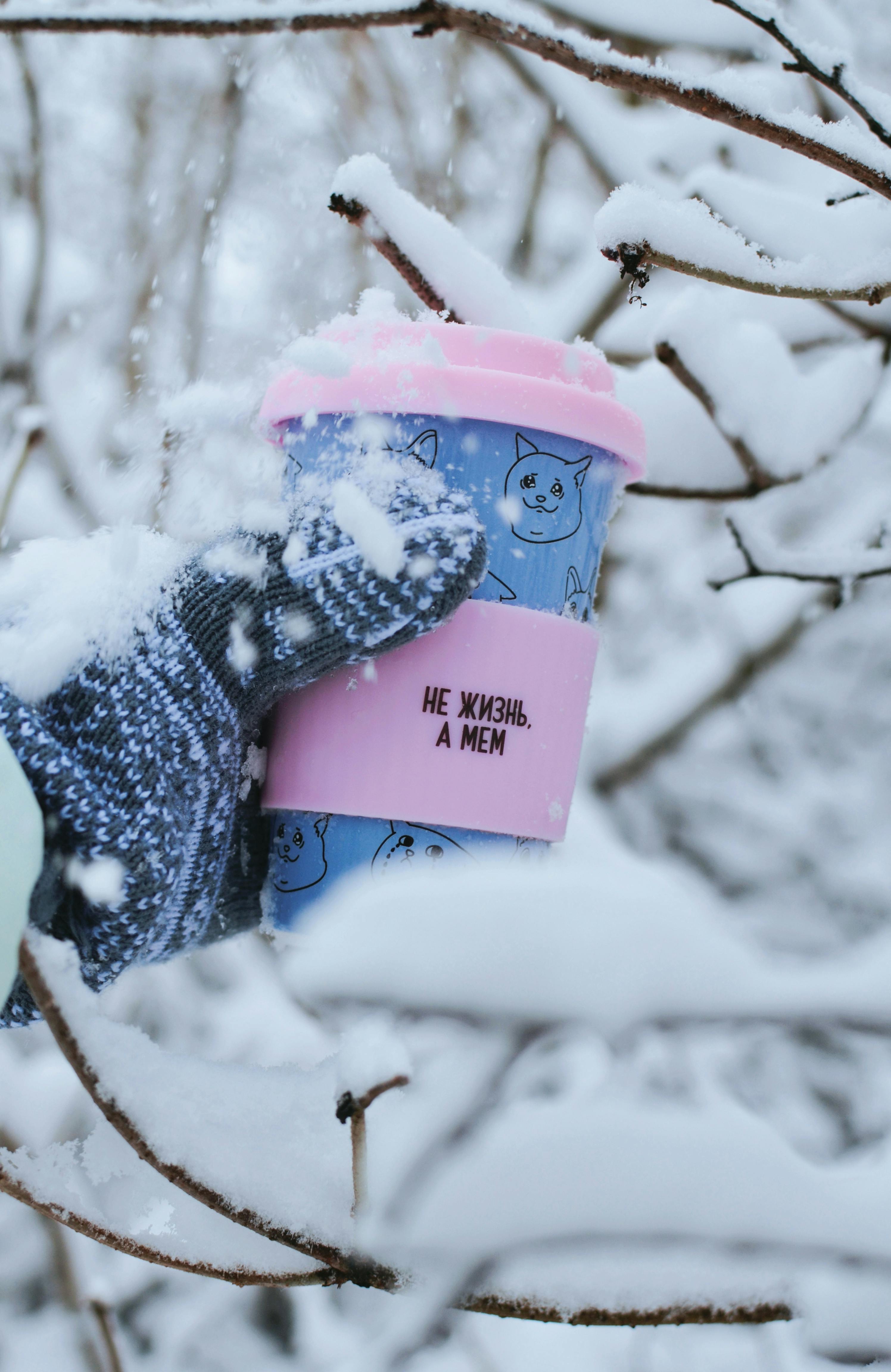 A close-up of a gloved hand holding a cat-themed mug amidst snowy branches, showcasing winter charm.