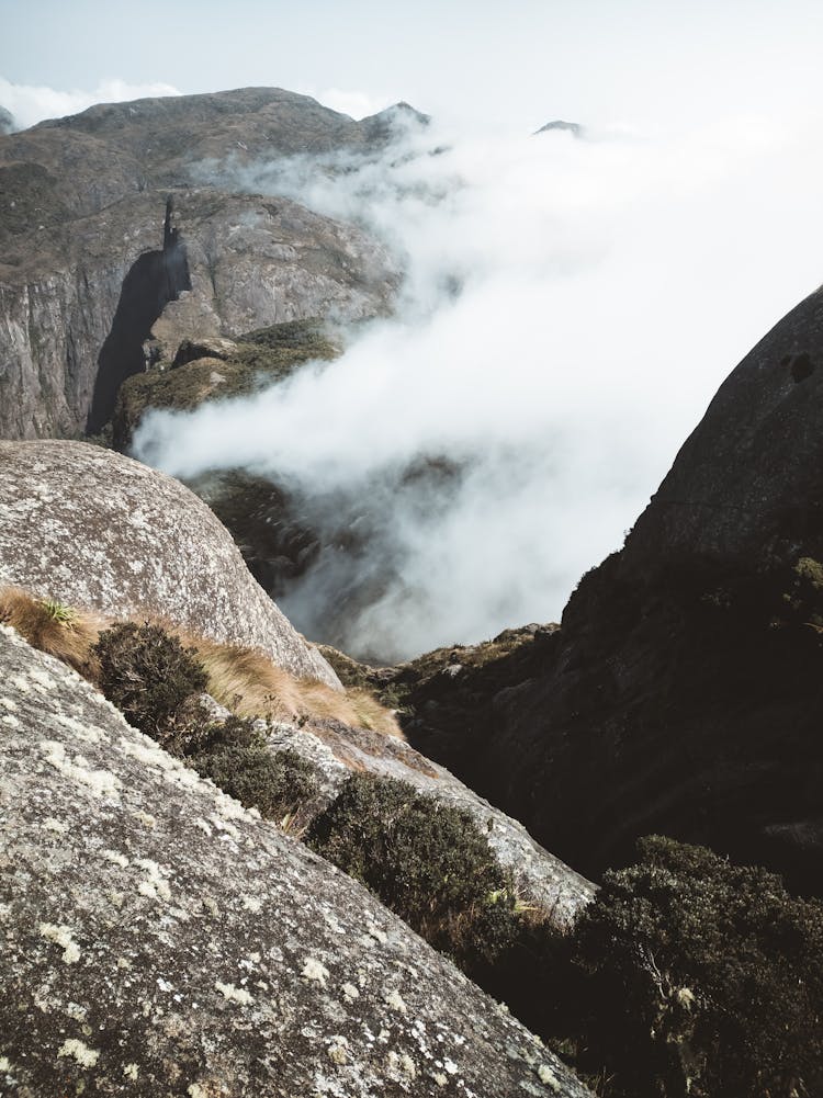 Fog In Rocky Mountains