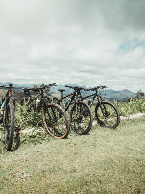 Free Row of parked mountain bikes in a lush outdoor setting with a scenic mountain backdrop. Stock Photo