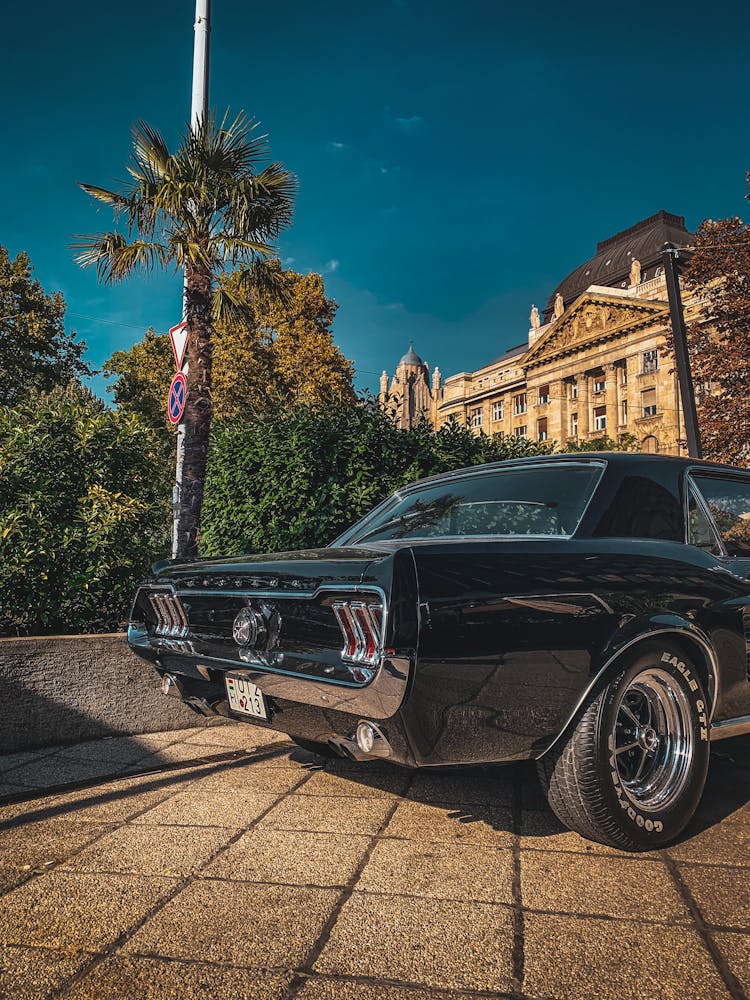 A Black Muscle Car Parked On The Street