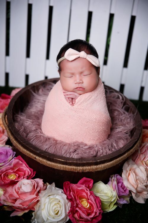 Free Adorable newborn wrapped in pink, sleeping peacefully among vibrant roses in a cozy setting. Stock Photo