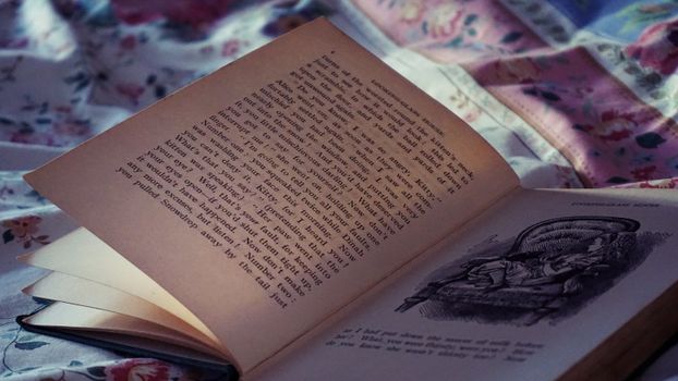 Opened White Book