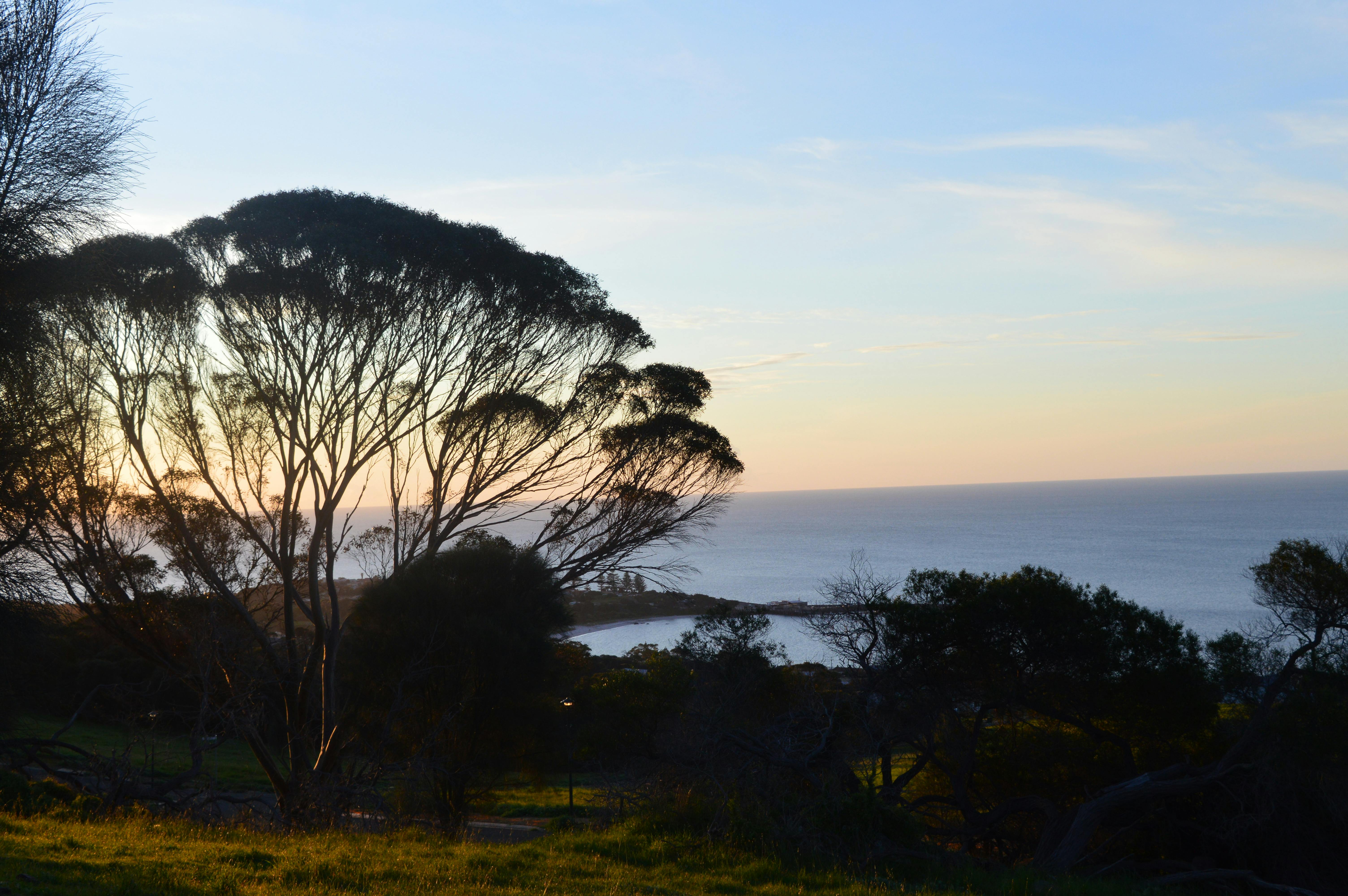 Kho ảnh miễn phí từ Belinda · Pexels