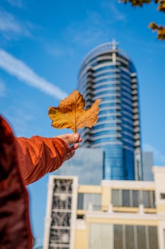 A hand holds a fall leaf in front of a modern skyscraper under a clear blue sky.