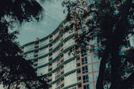 Silhouette of Trees near the Glass Building