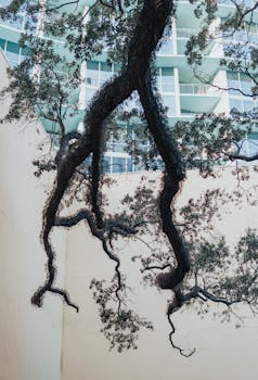 A unique view of a tree against a modern building facade.