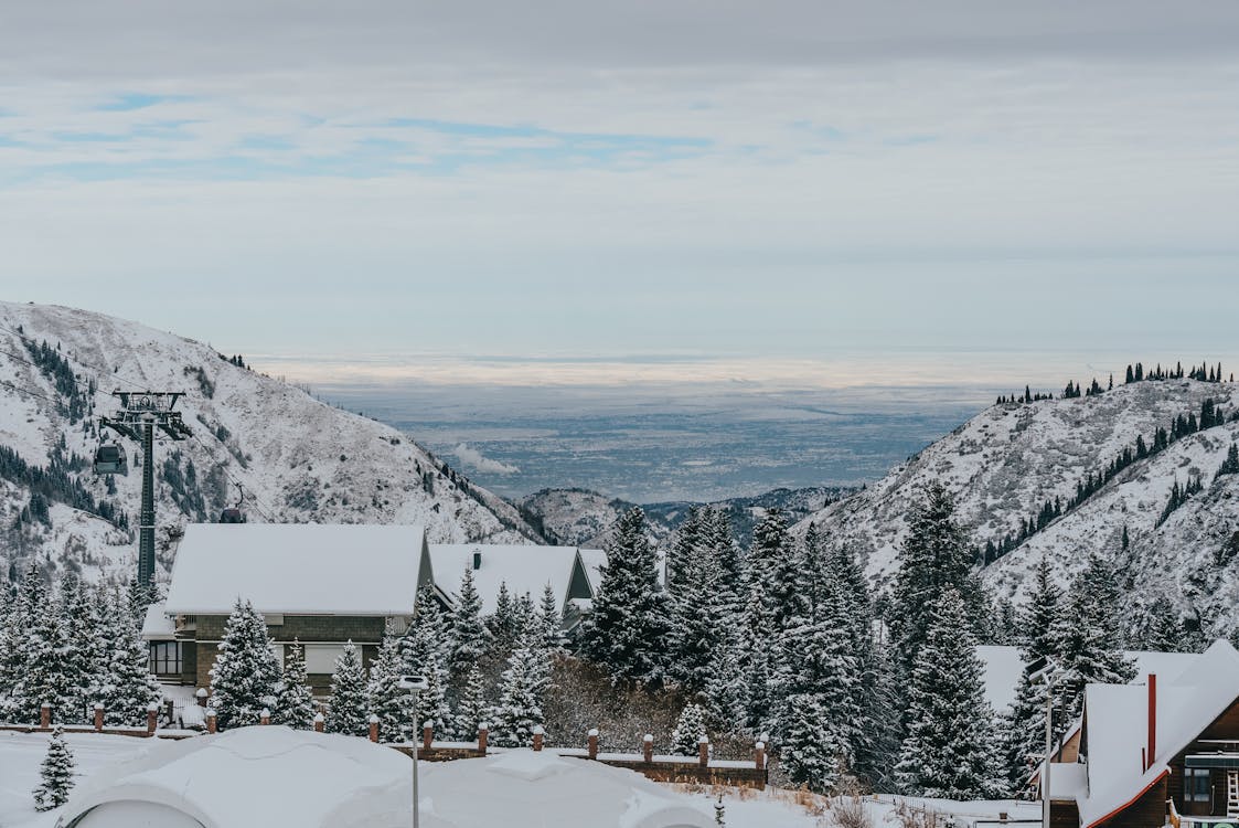 бесплатная Бесплатное стоковое фото с Альпийский, гора, дерево Стоковое фото