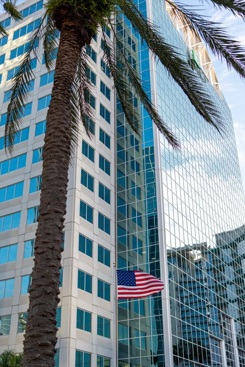 Free A modern skyscraper adorned with an American flag and palm trees under a clear sky. Stock Photo