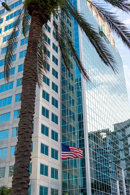 Free A cityscape featuring a modern skyscraper, palm tree, and American flag, under a clear sky. Stock Photo