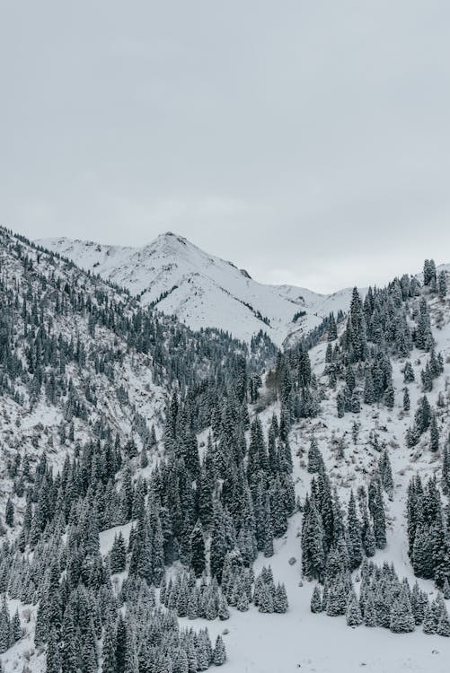 бесплатная Бесплатное стоковое фото с вертикальный выстрел, горы, зима Стоковое фото