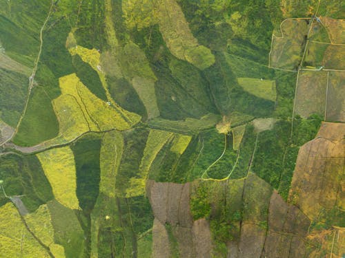 Gratis arkivbilde med åkre, dronebilde, farmlands