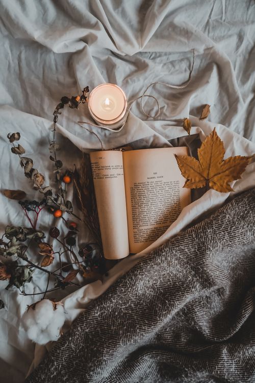 Free A warm and cozy autumn setup featuring a book, candle, and foliage. Stock Photo