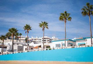 Bright Albufeira beachfront with charming houses and tall palm trees under a clear blue sky.