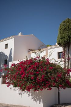 A stunning view of traditional Portuguese architecture adorned with bougainvillea in Albufeira, Portugal.