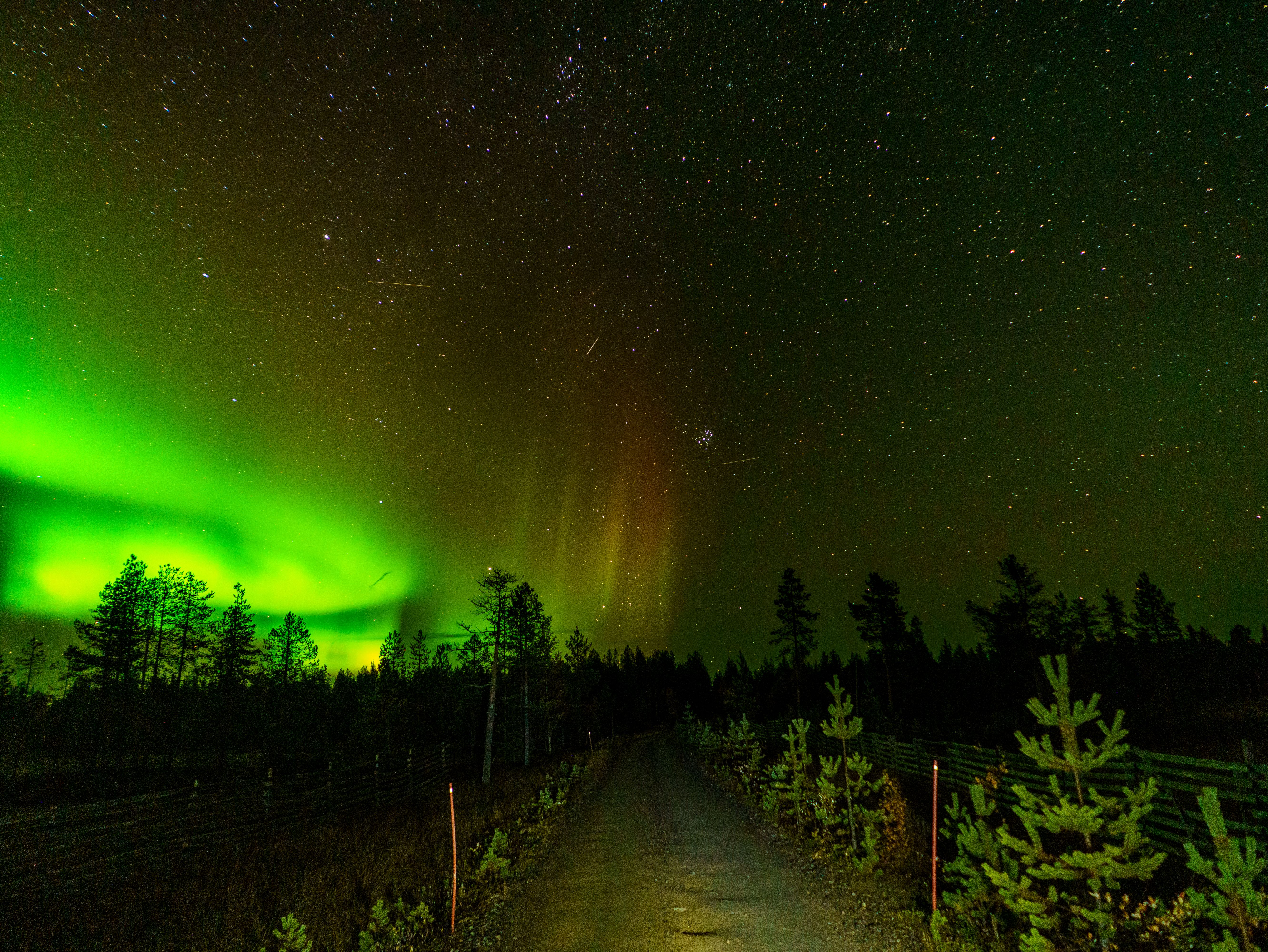 Enchanting view of Northern Lights in Ylläsjärvi, Finland, under a star-filled night sky.