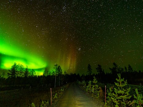 Enchanting view of Northern Lights in Ylläsjärvi, Finland, under a star-filled night sky.