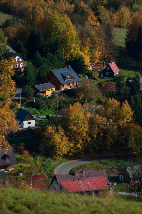 Landscape of a Village in the Fall