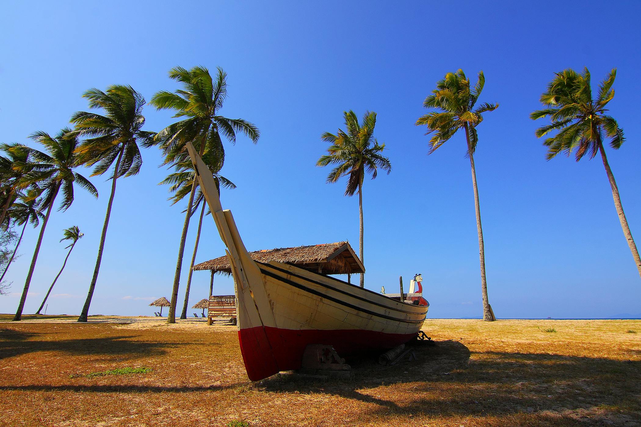 white and red boat