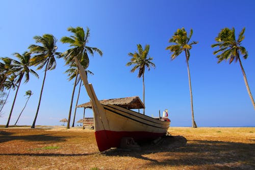 Barco Branco E Vermelho