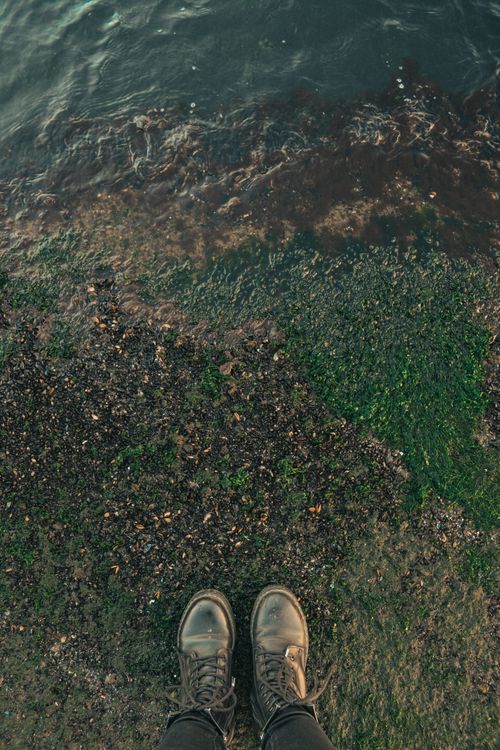 Free A vertical shot of boots on a mossy and muddy shoreline near water. Stock Photo