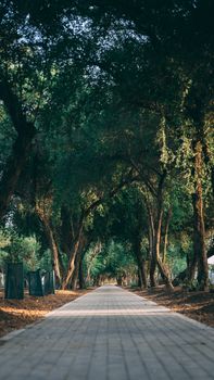 Image by Yosef Futsum