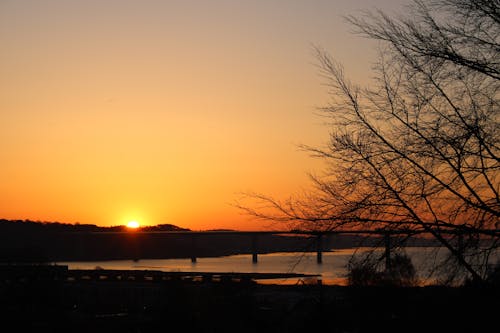 Vejle fjord bro