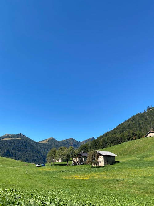 Foto profissional grátis de área, árvores verdes, casas