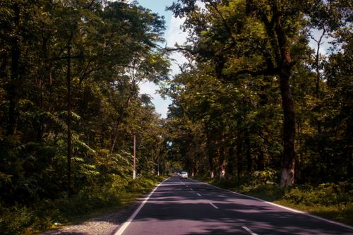 Free A tranquil road cuts through a lush forest, perfect for a scenic drive. Stock Photo