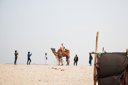 People Riding Camel on Desert