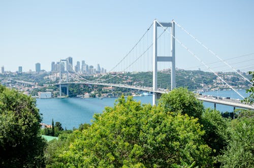 Bridge over Body of Water