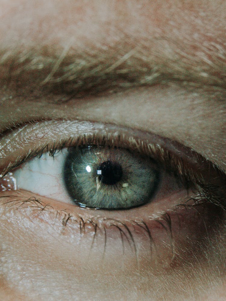 Human Eye In Close-up View