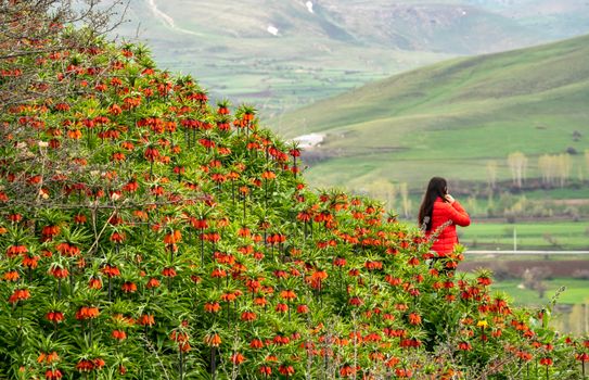 A serene landscape featuring a woman in a red jacket amidst vibrant Crown Imperials with mountains in Van, Turkey.