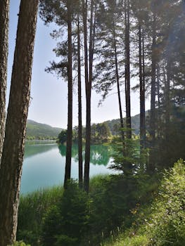 Image by Natalia Marinkovic