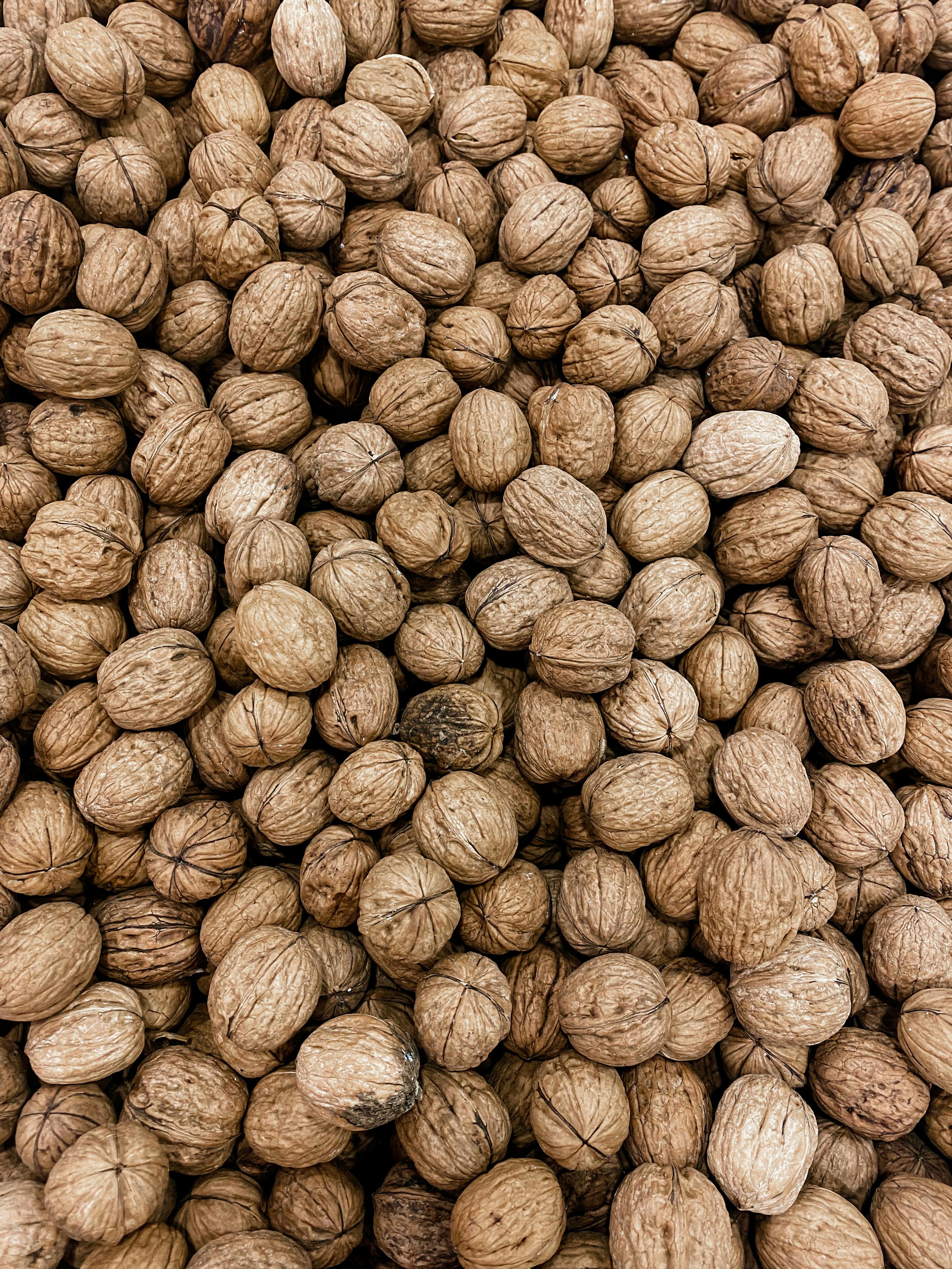 brown and gray round fruits