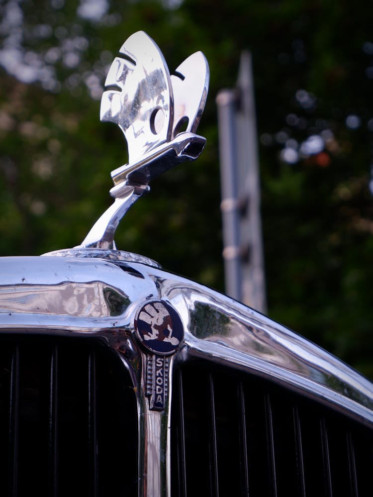 Close Up Shot Of A Hood Emblem